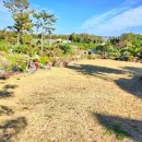 탐나민박 이미지