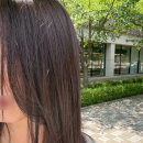 일산 딥애쉬 브라운염색 준오헤어 가든원마운트 후기 (백선 디자이너)
