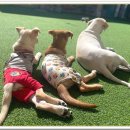 아이조아요양보호소 안양점 이미지