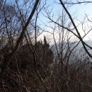 죽령 목장 이미지