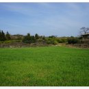 낙천의자공원 이미지