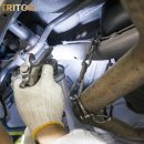 더트리톤 이미지