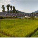 ○○○태양광발전소9 이미지
