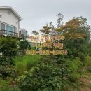 여주좋은땅공인중개사사무소 이미지