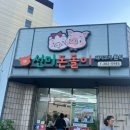 선미돈돌이
