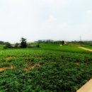 지명인베스트 부동산중개법인 이미지