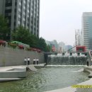 엄마닭 이미지