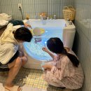 동탄 제일제이에스조리원 후기 - 시설, 프로그램, 신생아케어