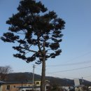 초계면사무소 이미지