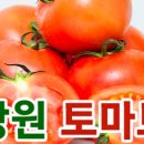 토마토마트 이미지