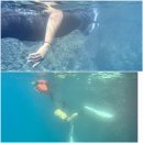 혜림민박 | 울릉도여행 1일차-스노쿨링 제대로 즐겨보자!