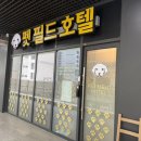 펫 필드 호텔 이미지