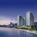 팔레드시즈 이미지