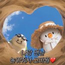 텍스트가든 | [대전/도룡동] 화이트 & 식물 가득 '텍스트 가든' 분위기 만점 카페 후기 ✨
