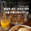 [보홀 맛집] 보홀 우베코 내돈내산 후기, 코코넛 카레 우베코