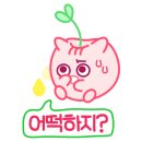 웨슬러 카페