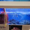 [도로]동수원 뉴코아 이미지