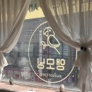 앵무새카페 | 서울 광명사거리 앵무새카페 ‘앵모닝’ 내돈내산 후기