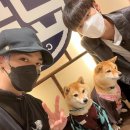 Let‘s go 보드 이미지