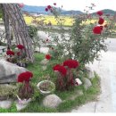 고갯마루식당 이미지