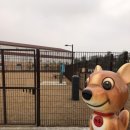 덕수공원반려견놀이터 이미지