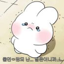 파스타도 식사다 이미지