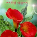주말 이미지