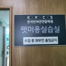 한국반려견미용학원 - 6853 | 한국반려견미용학원