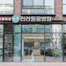 리라동물병원 이미지