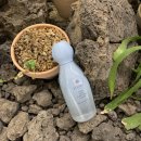 서울시티크루 | 신세계 시뷰티 대학생크루2기 수료 완료🩷-후기