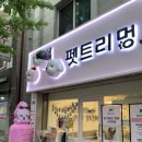 펫트리멍 이미지