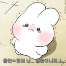 영무체육관 | [구미/인동] 호신술 다이어트 추천 운동 무에타이 체육관 영무 회관