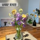 남대문시장 | 남대문 꽃시장 방문 후기 위치 영업시간 거베라 가격 꽃말