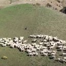 서로도울농장 이미지