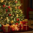 토즈스터디센터중동2독서실 이미지