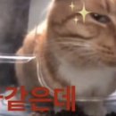 구라우천 네이버블로그