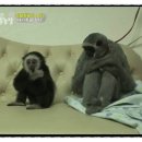 원중농장 네이버블로그