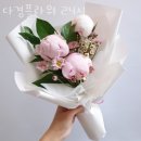 다경 이미지