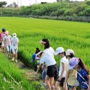 부흥환경 이미지