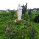 장하로1 이미지