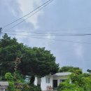 제주 마중 민박 이미지