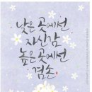 세상사는이야기 Daum카페