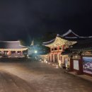 제주로베로 이미지