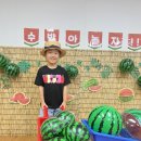 수박 포토존🍉🍉 이미지