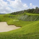 시암아시아 이미지