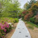 용인한빛중학교 이미지