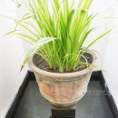 호텔오션(Ocean) 이미지