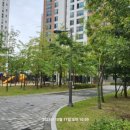 예성여중고 앞 이미지