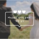 (주)피드플러스 | 베리굿웨딩 에이미플래너 계약 후기 및 스드메 견적
