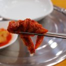 대벌 이미지